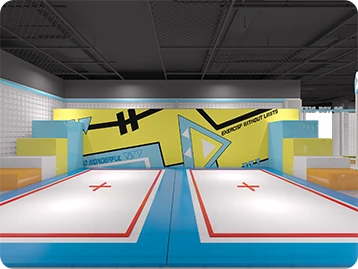 Professional Trampoline Area